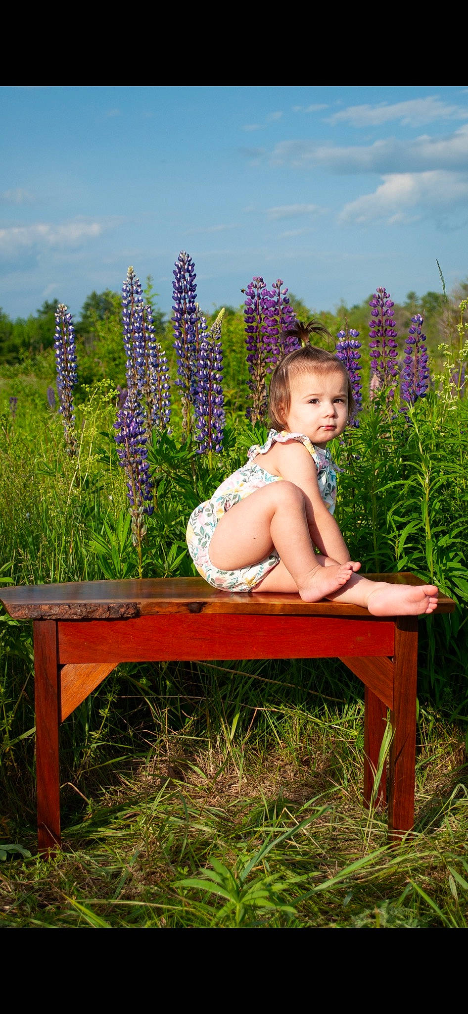 Piper is registered to the contest to win money with this photo: baby_toddler_clothing, blue, cloud, electric_blue, flower, flowering_plant, grass, grass_family, grassland, happy, leisure, meadow, outdoor_furniture, people_in_nature, person, plant, shrub, sky, summer, toddler