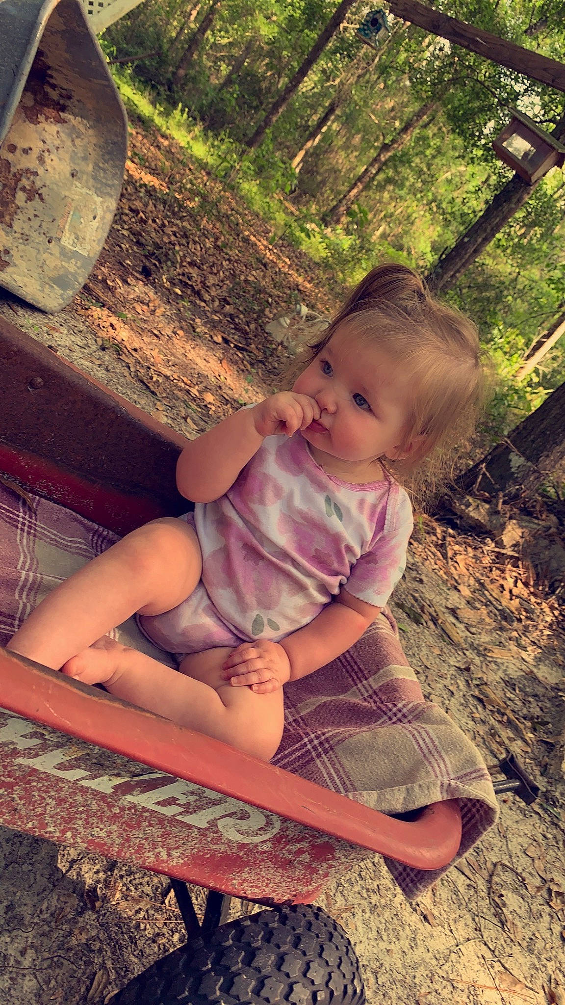 Raelynn joined the competition — help win amazing prizes! baby, baby_toddler_clothing, child, flash_photography, fun, grass, hairstyle, happy, human, human_leg, leisure, people_in_nature, person, plant, sitting, sunlight, thigh, tints_and_shades, toddler, tree
