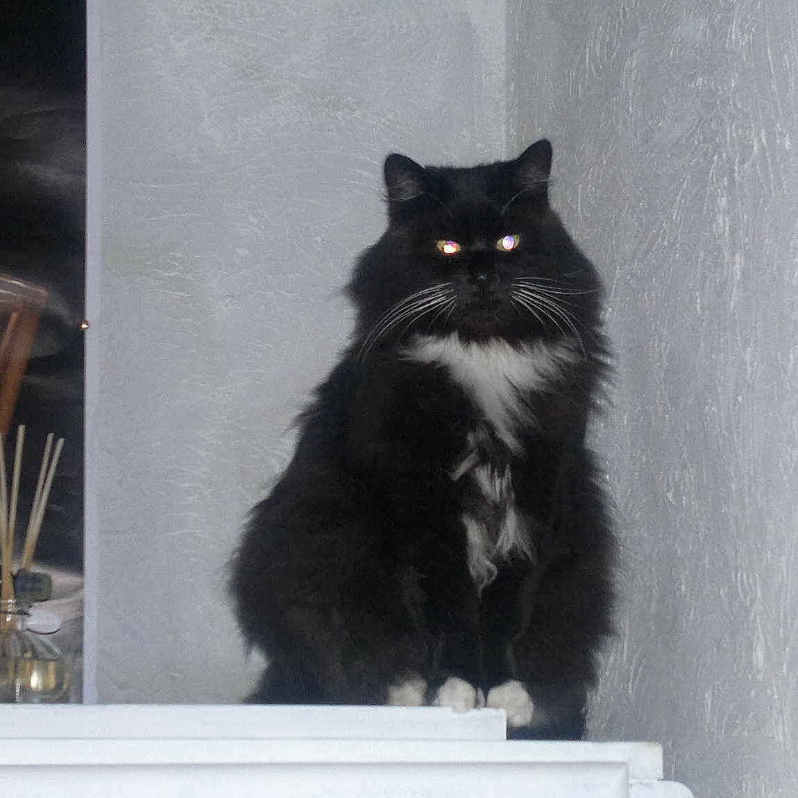Chaussette