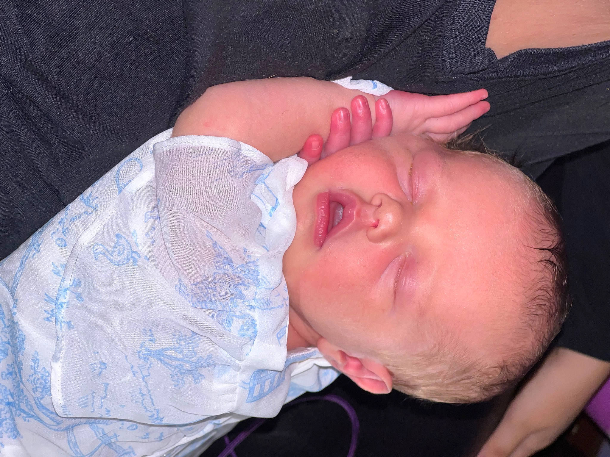 Daisy joined the competition — help win amazing prizes! arm, cheek, child, chin, comfort, ear, elbow, eyebrow, eyelash, finger, forehead, head, human_body, lip, mammal, mouth, neck, nose, person, skin