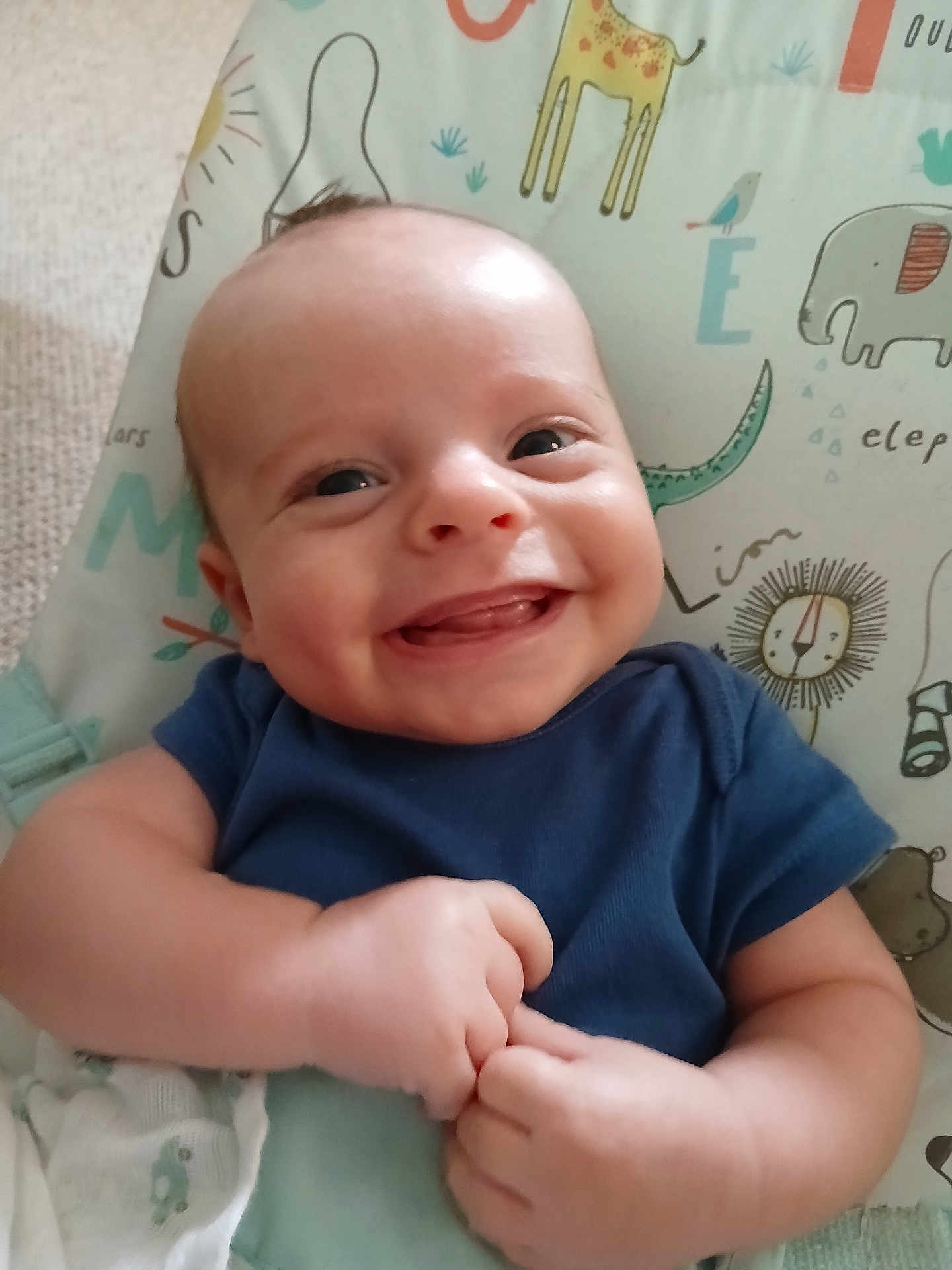 Dougie is registered to the contest to win money with this photo: baby, smiling, infant, blue_clothing, hands, face, cute, child, happy, lying_down, animal_print, lion, elephant, giraffe, background, soft_toys, closeup, skin, indoors, portrait