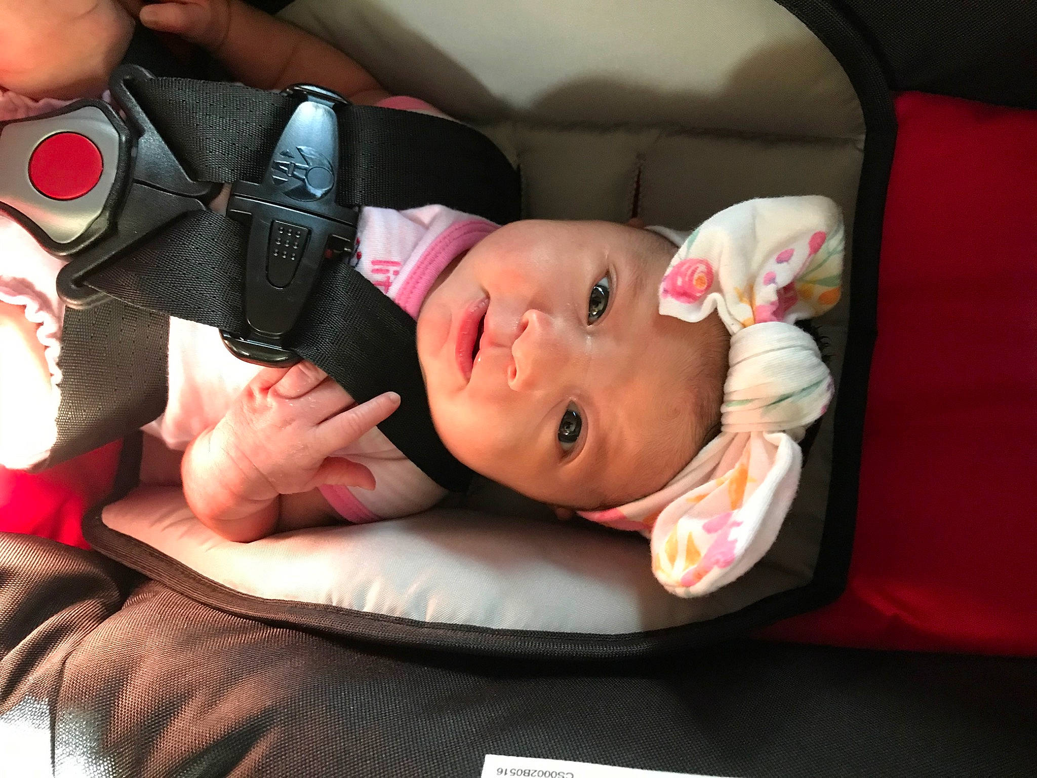 Baeleigh is registered to the contest to win money with this photo: baby, baby_products, birth, car_seat, cheek, child, ear, head, headwear, mouth, nap, nose, person, pink, product, skin, sleep, toddler
