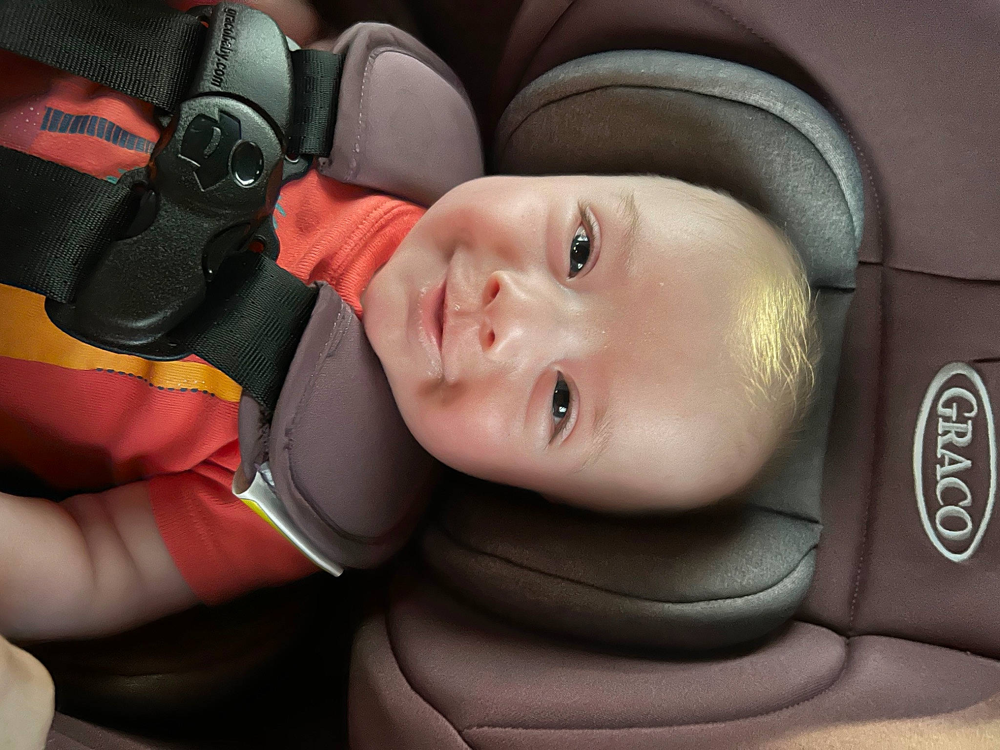 Calvin joined the competition — help win amazing prizes! auto_part, automotive_design, baby, baby_carriage, baby_in_car_seat, baby_products, car_seat, car_seat_cover, child, comfort, fashion_accessory, flash_photography, gesture, happy, head_restraint, person, personal_luxury_car, smile, steering_wheel, toddler