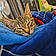 Tigger