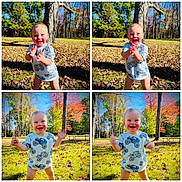 Lincoln joined the competition — help win amazing prizes! toddler, child, outdoor, autumn, leaves, trees, grass, sunlight, smile, happy, clapping, waving, nature, blue_sky, shirt, playful, park, young_child, fall_foliage, daylight
