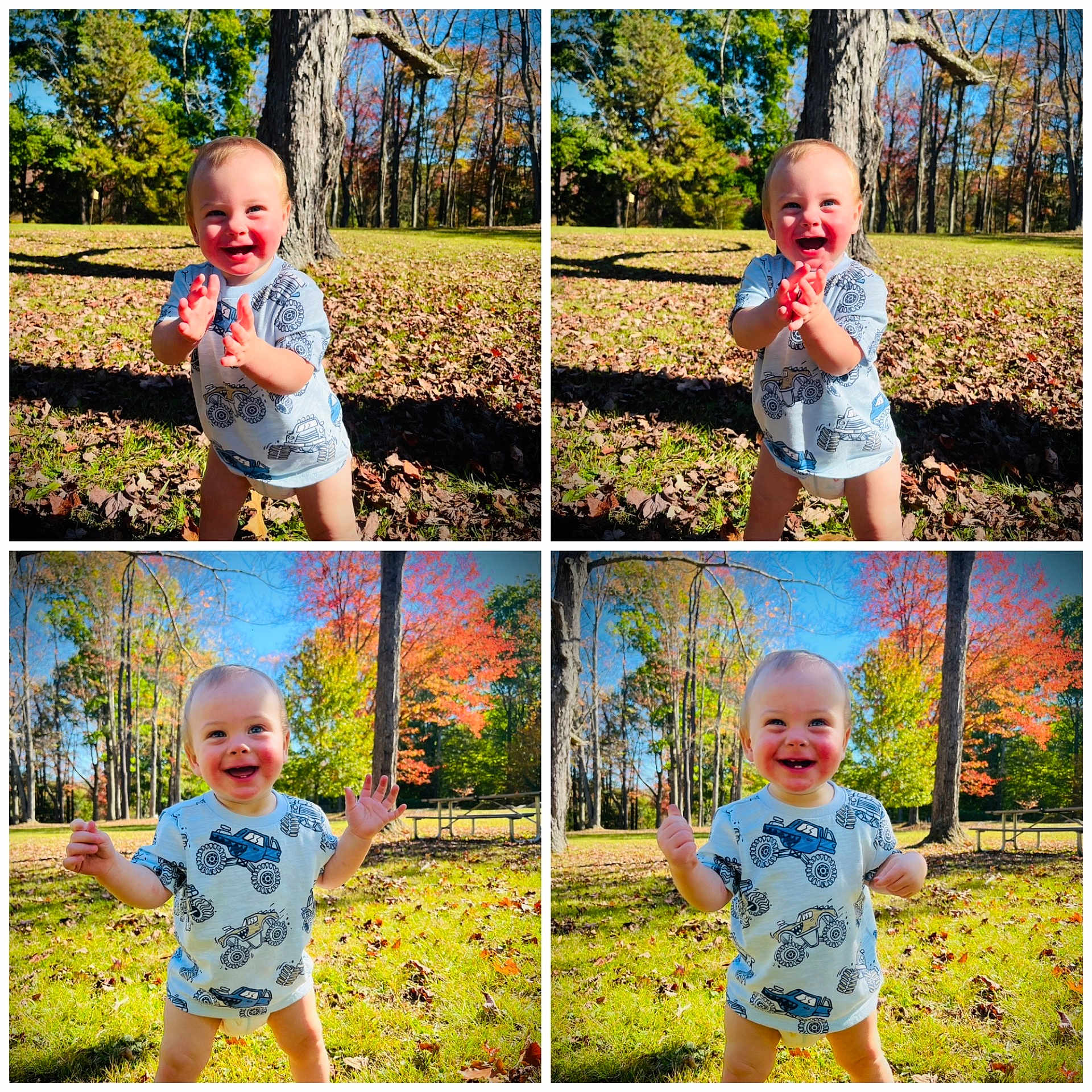 Lincoln joined the competition — help win amazing prizes! toddler, child, outdoor, autumn, leaves, trees, grass, sunlight, smile, happy, clapping, waving, nature, blue_sky, shirt, playful, park, young_child, fall_foliage, daylight