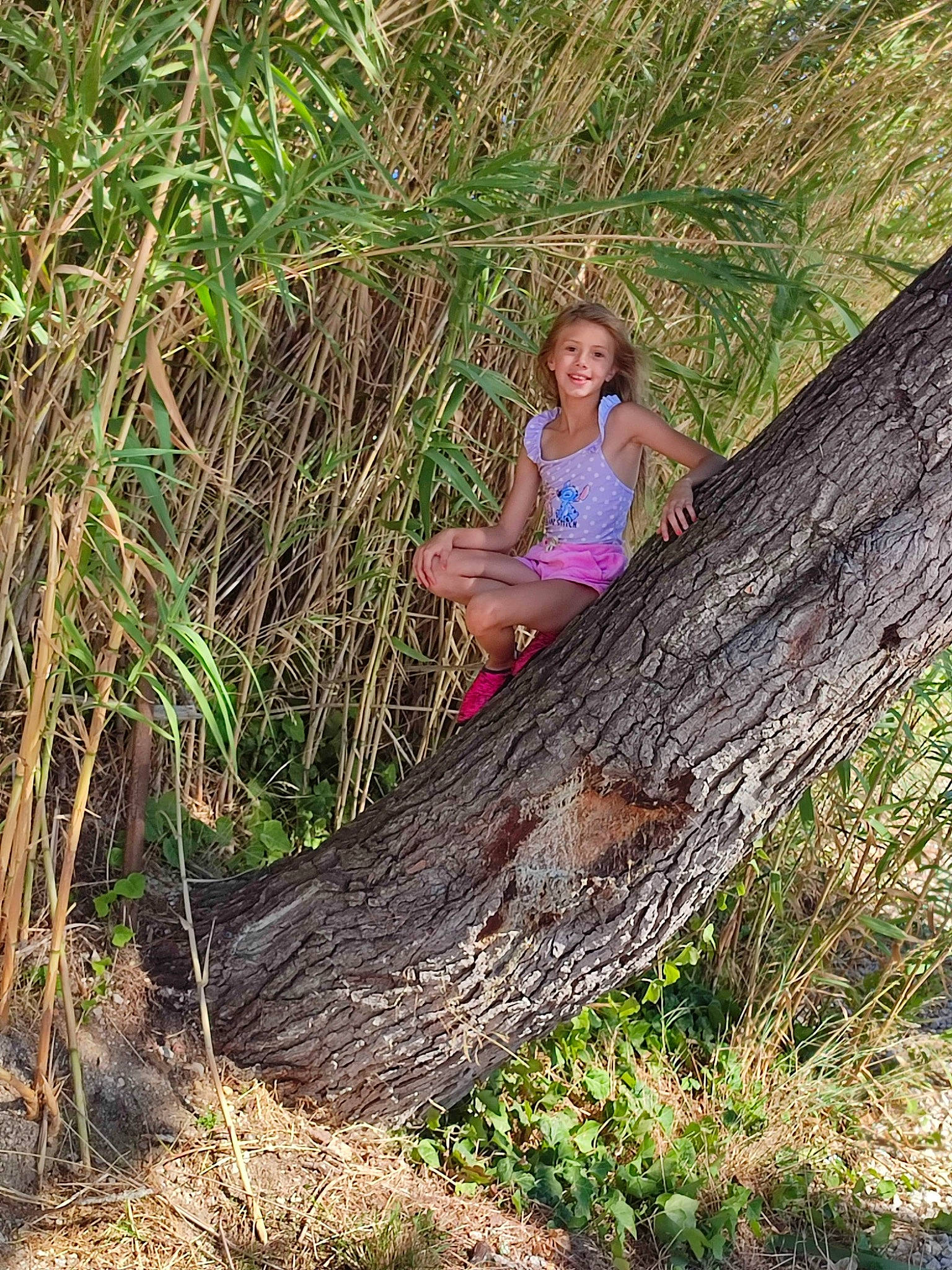 Lylou participe au concours pour gagner de l'argent avec cette photo : botany, forest, fun, grass, grass_family, groundcover, happy, joy, jungle, leisure, natural_landscape, people_in_nature, person, plant, smile, soil, sunglasses, terrestrial_plant, tree, trunk