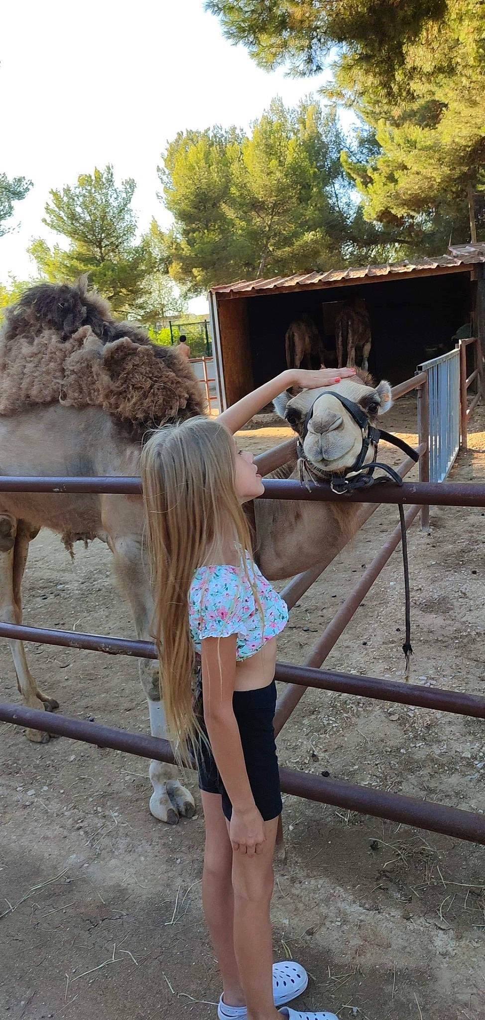 Lylou a rejoint le concours — aidez-le/la à gagner de superbes lots ! bridle, fawn, fun, horse_supplies, horse_tack, human_leg, landscape, leg, leisure, livestock, mare, metal, person, recreation, rein, t_shirt, tourism, tree, vacation, wood