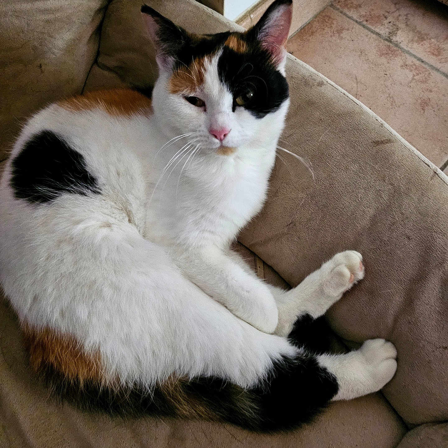 Luna