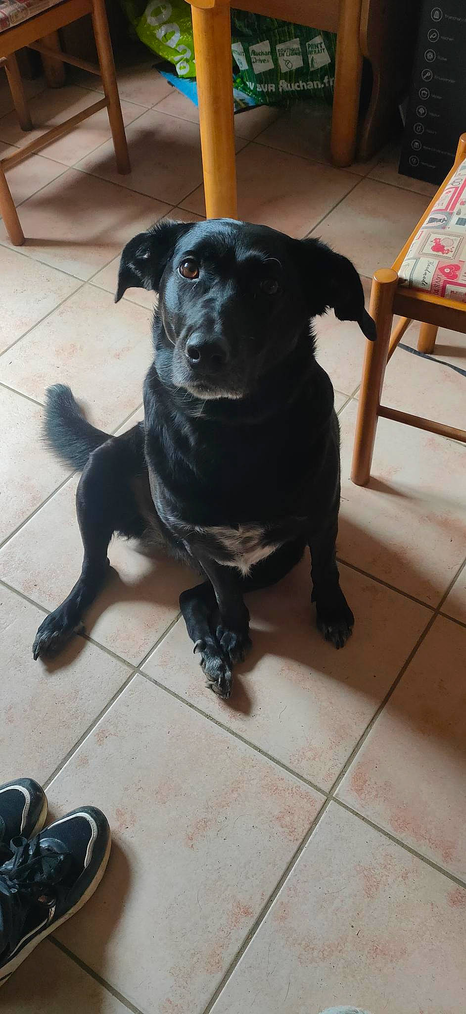 Kali