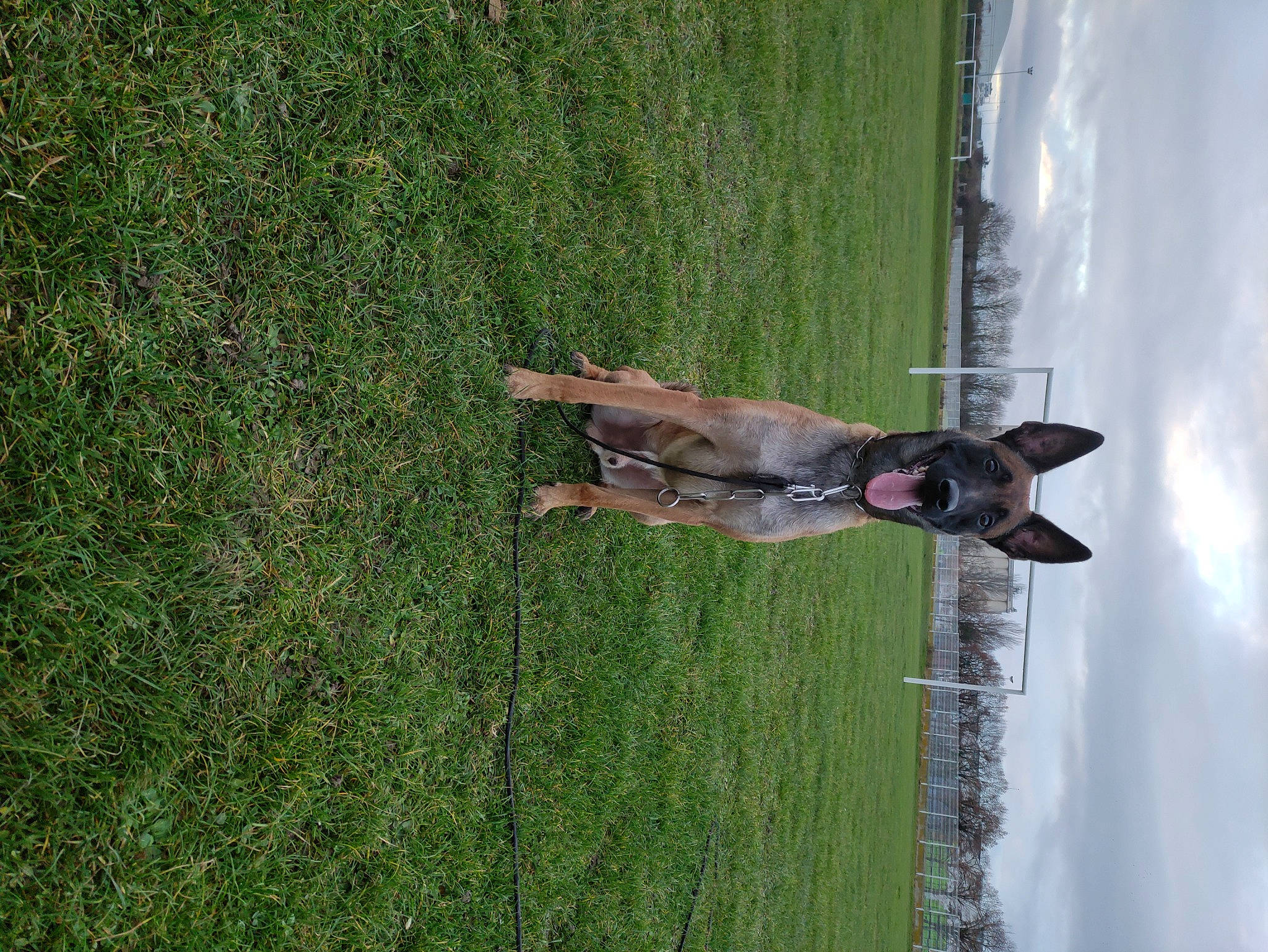 Arko a rejoint le concours — aidez-le/la à gagner de superbes lots ! cloud, fun, grass, grass_family, grassland, landscape, lawn, pasture, people_in_nature, plant, sky, sporting_group, tree, trunk, water, wood