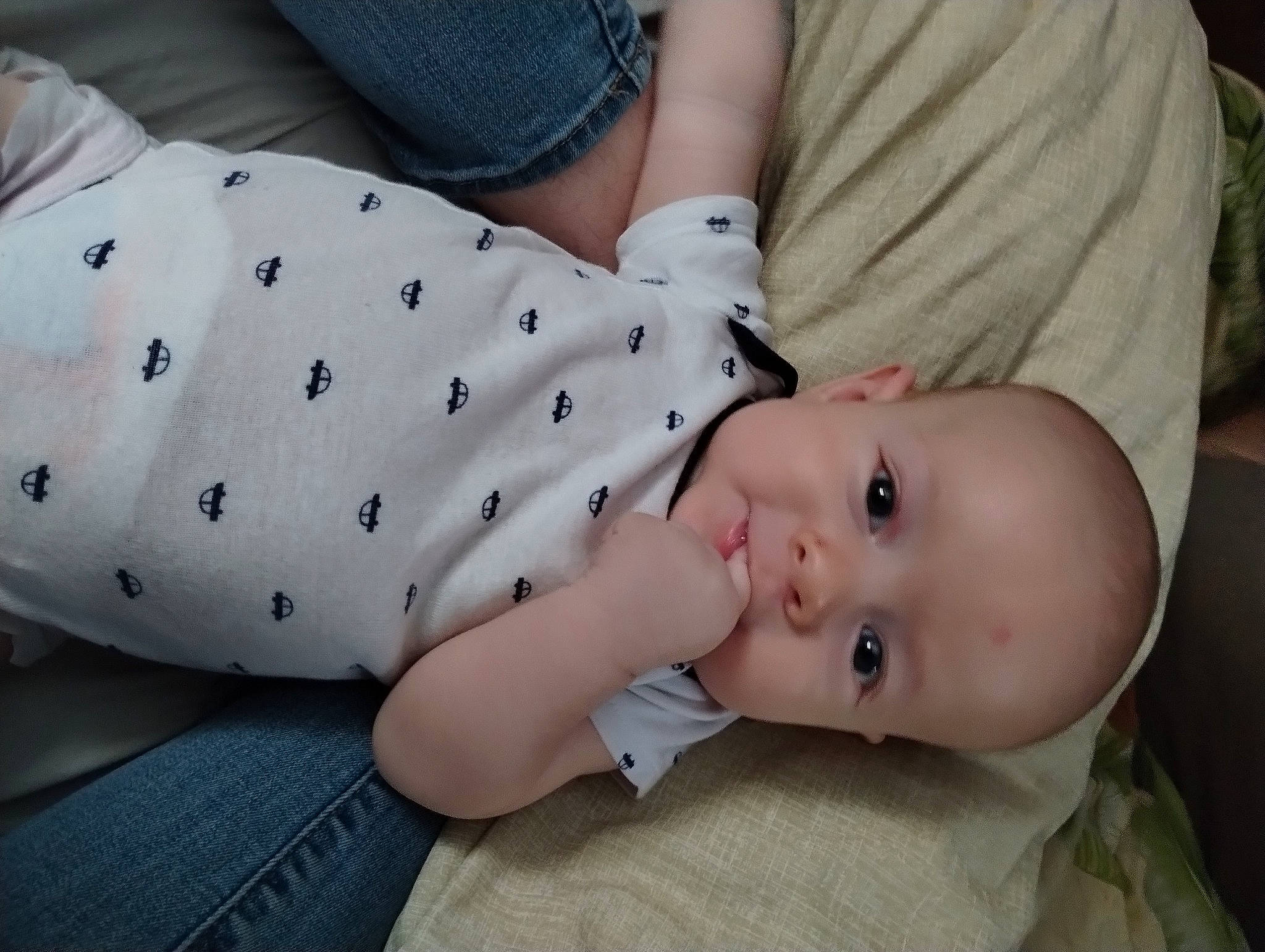 Finn joined the competition — help win amazing prizes! baby, baby_products, baby_toddler_clothing, cheek, child, collar, comfort, elbow, facial_expression, grass, hand, linens, pattern, person, plaid, portrait_photography, sitting, skin, sleeve, toddler