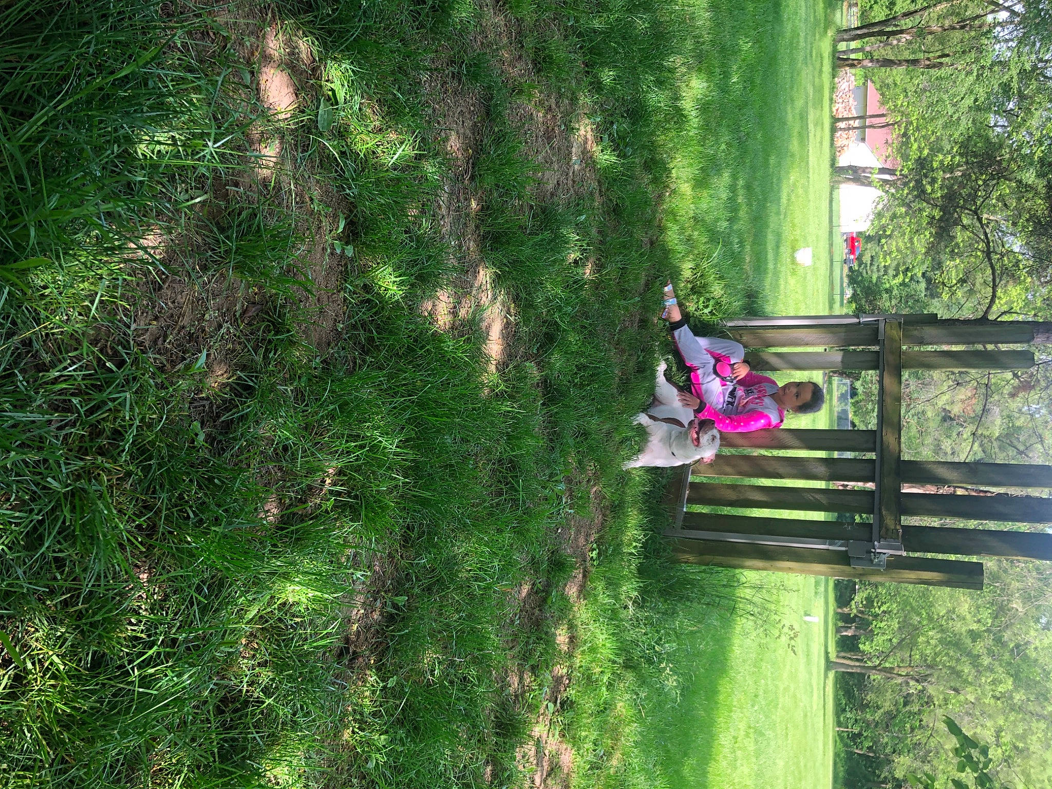 Leona is registered to the contest to win money with this photo: biome, botany, branch, evergreen, forest, grass, green, groundcover, landscape, leisure, people_in_nature, person, plant, recreation, shrub, terrestrial_plant, tints_and_shades, tree, trunk, vegetation