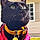 Tippy