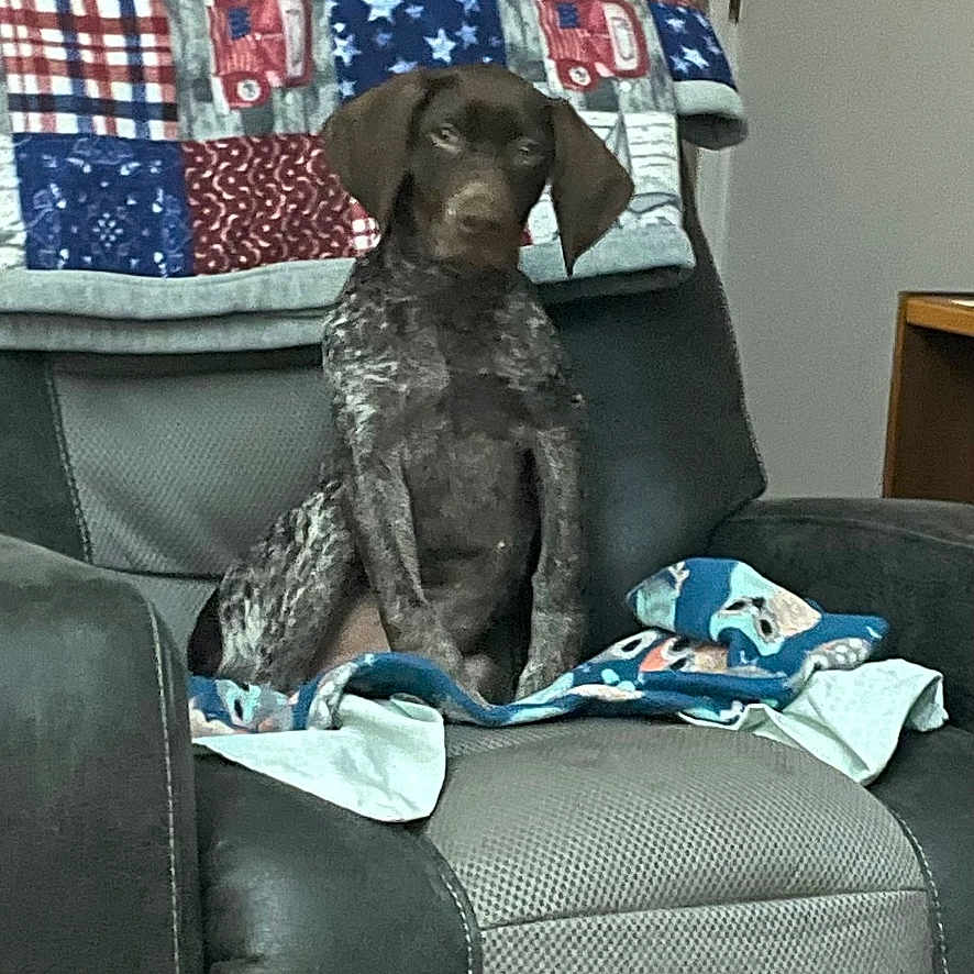 Maverick