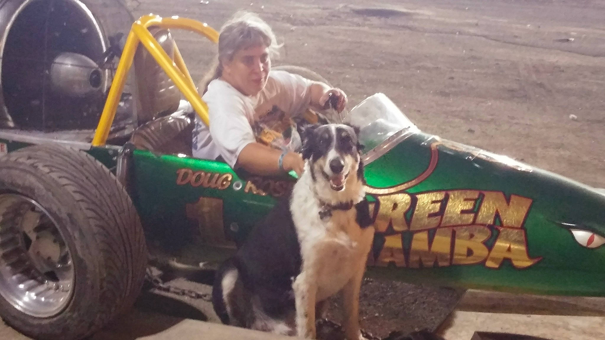 Blaze joined the competition — help win amazing prizes! auto_part, automotive_exterior, automotive_tire, automotive_wheel_system, canidae, carnivore, companion_dog, dog, dog_breed, fawn, grass, landscape, leisure, motor_vehicle, recreation, sporting_group, tire, travel, vehicle, wheel