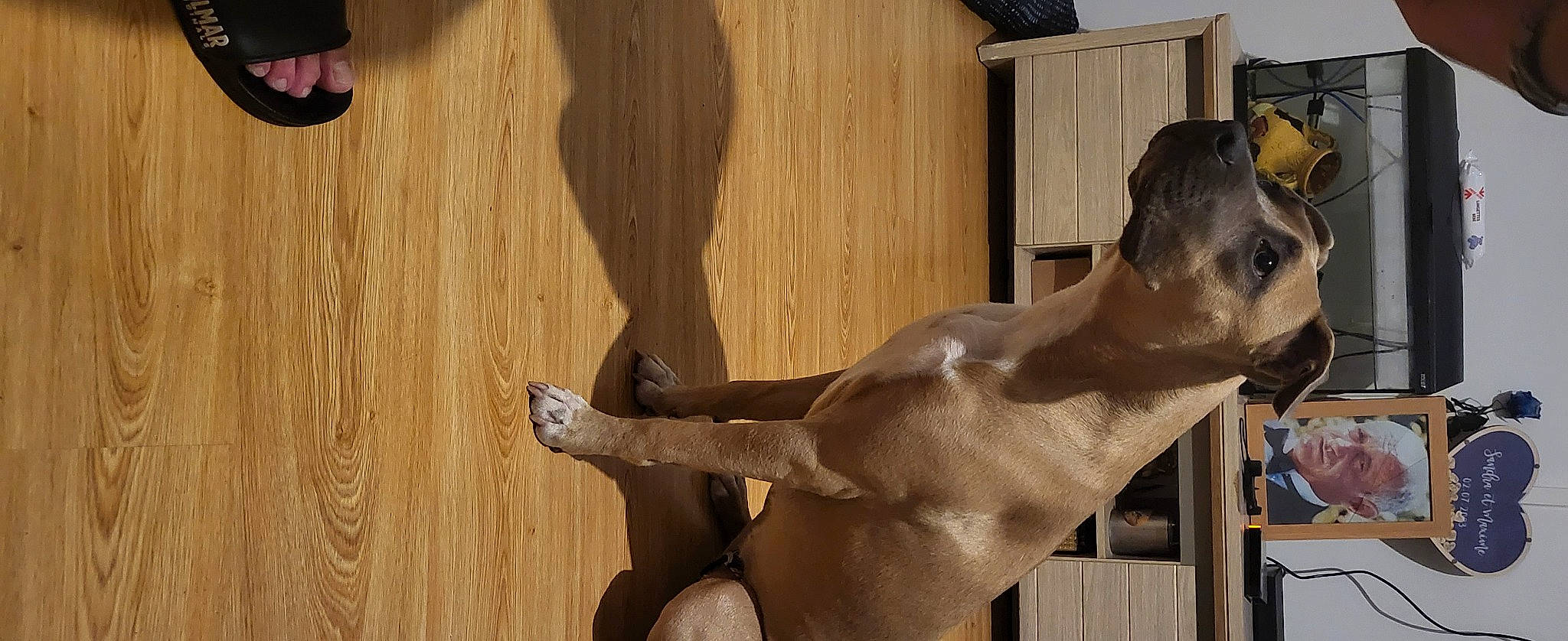 Nala participe au concours pour gagner de l'argent avec cette photo : art, barechested, building, chest, classical_sculpture, elbow, fawn, foot, human_leg, knee, metal, monument, nonbuilding_structure, sculpture, statue, thigh, trunk, visual_arts, window, wood