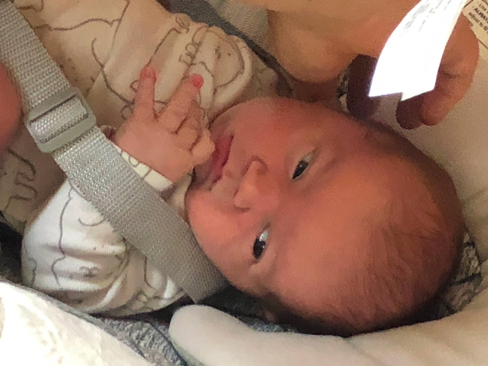 Lance joined the competition — help win amazing prizes! baby, baby_toddler_clothing, cheek, child, comfort, ear, eye, eyebrow, eyelash, finger, gesture, hand, iris, lip, mouth, nose, person, product, skin, thumb