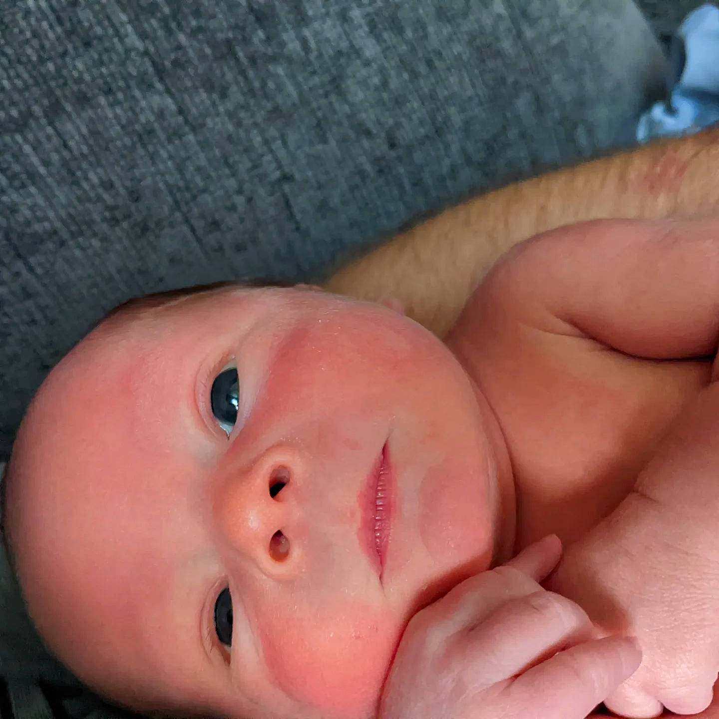 Deacon joined the competition — help win amazing prizes! baby, baby_toddler_clothing, cheek, child, chin, comfort, eyebrow, eyelash, face, finger, gesture, head, iris, lip, mouth, nail, nose, person, skin, thumb