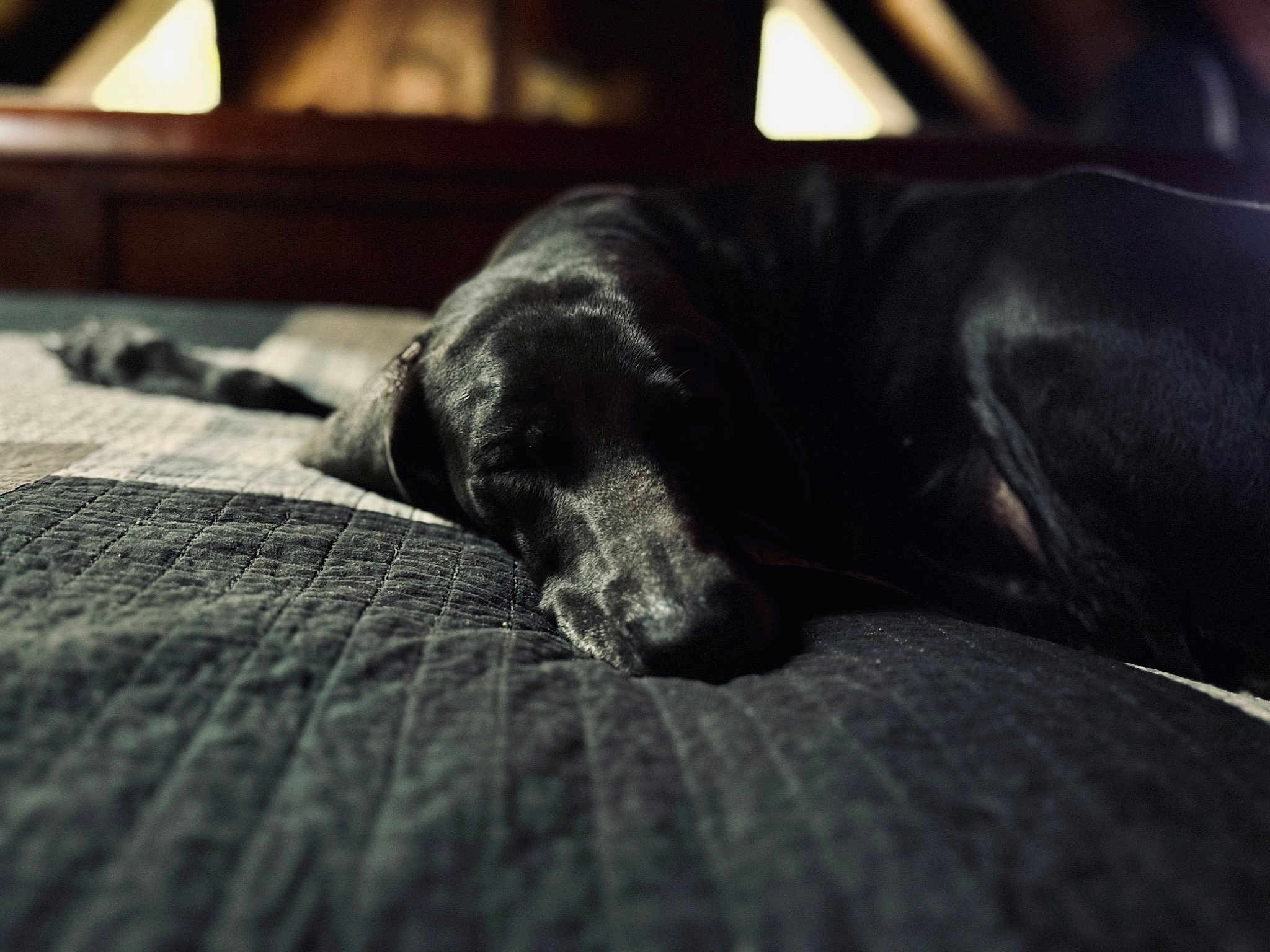 Maggie