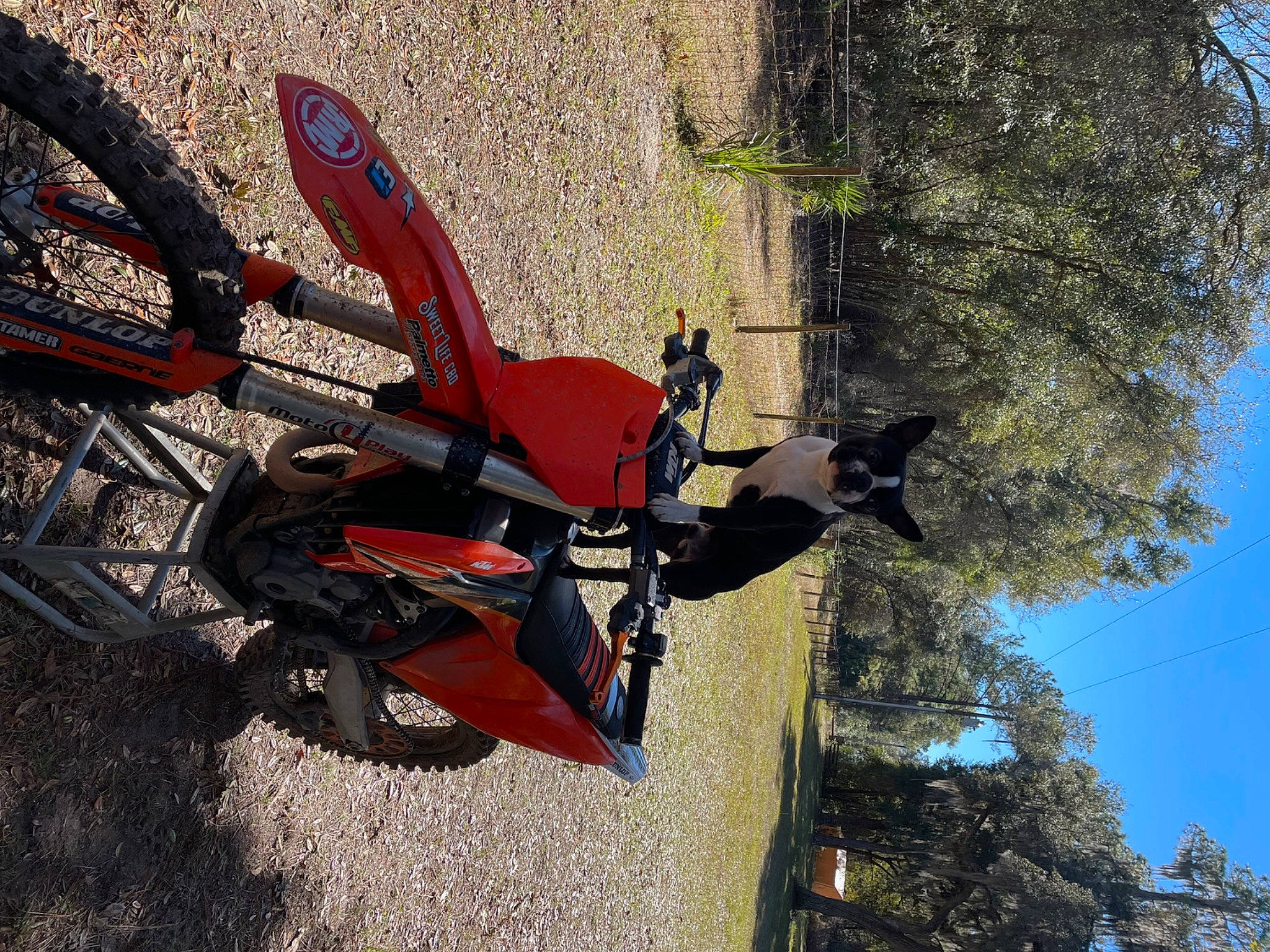 Chomper is registered to the contest to win money with this photo: auto_part, automotive_exterior, automotive_tire, automotive_wheel_system, bicycle_part, bicycle_tire, carmine, extreme_sport, leisure, motor_vehicle, plant, recreation, rim, sky, soil, spoke, tire, tree, vehicle, wheel