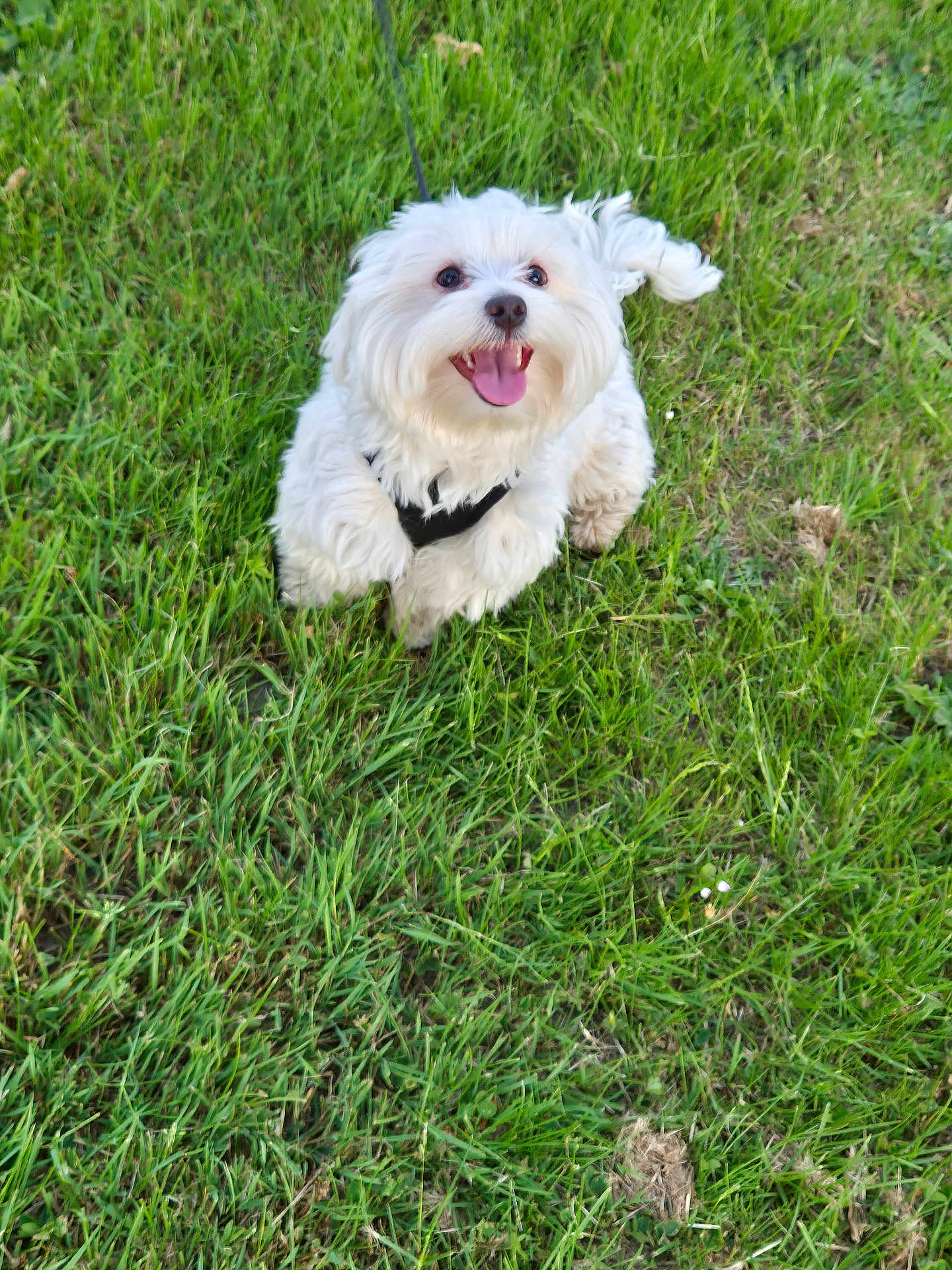 Sam