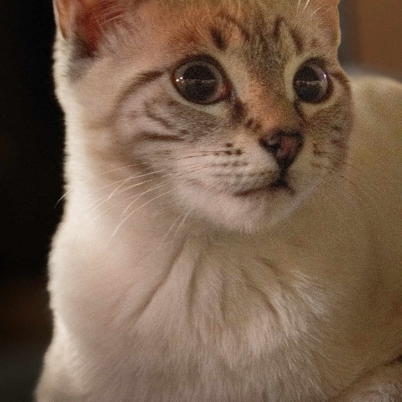 Chessy