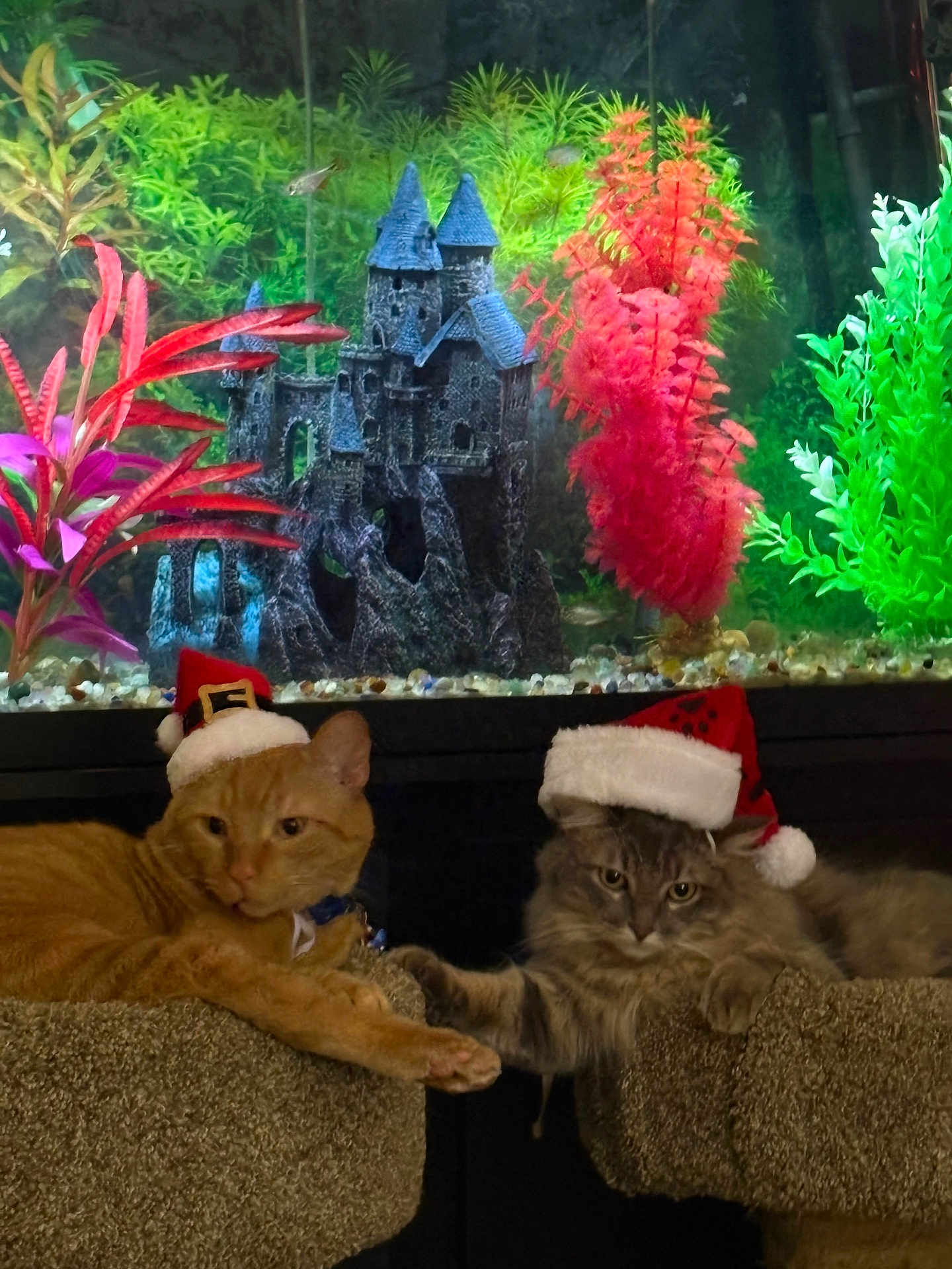 Tinker Bell And Milo