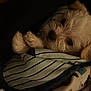 puppy, dog, blanket, striped, cozy, sleepy, fur, pet, snuggle, cute, animal, indoor, soft, warm, resting, small_dog, face, paw, comfort, dark