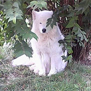 Harry-bo participe au concours pour gagner de l'argent avec cette photo :