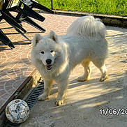 Harry-bo participe au concours pour gagner de l'argent avec cette photo :