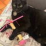 black_cat, cat, toy, cushion, indoor, pet, animal, green_eyes, patterned_fabric, ribbons, golden_toy, black_fur, relaxed, cute, domestic_cat, playing, resting, feline, close_up, cozy