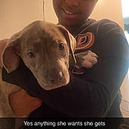 Tylara is registered to the contest to win money with this photo: accessories, adult, animal, canine, clothing, dog, face, glasses, head, hound, indoors, labradorretriever, male, man, person, pet, photography, portrait, puppy, t_shirt