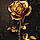 Golden R.