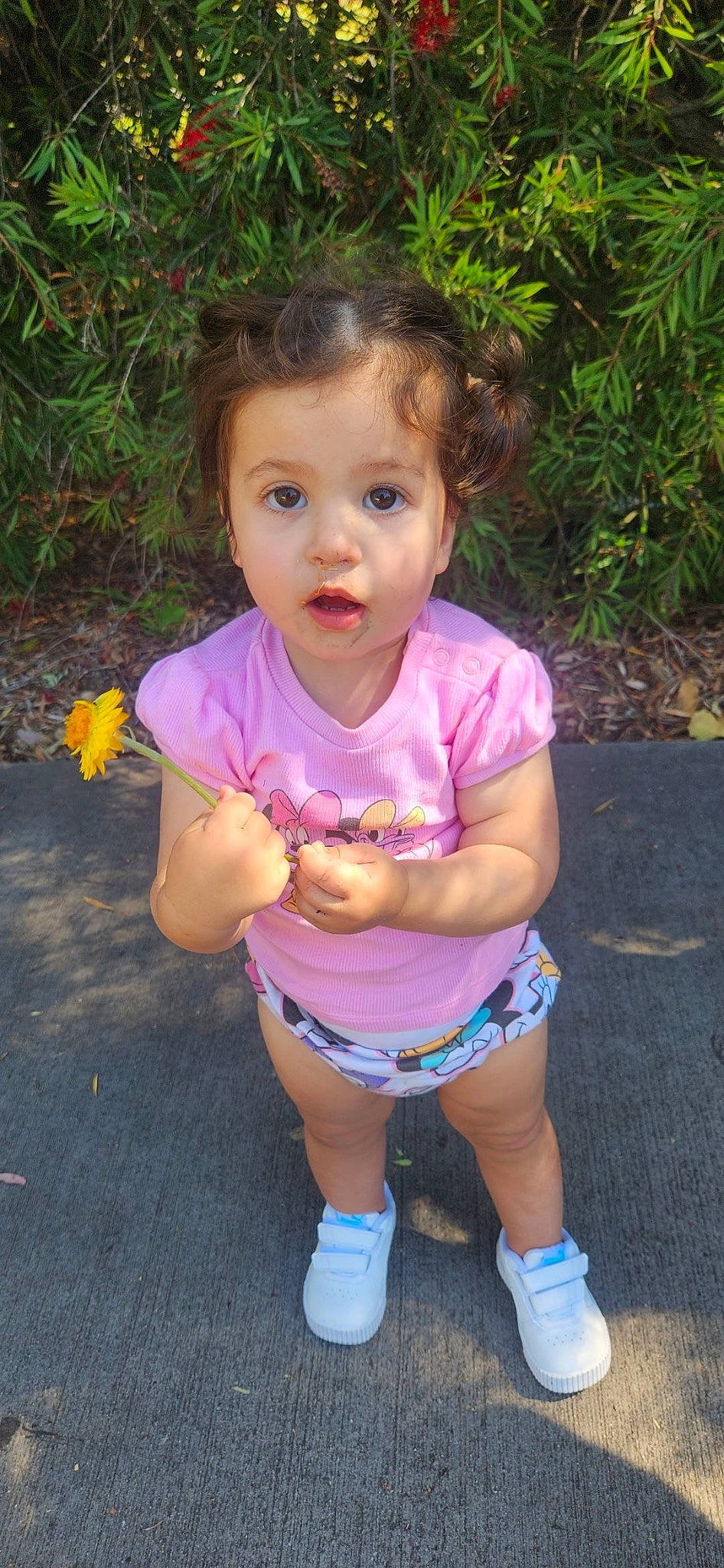 Malake is registered to the contest to win money with this photo: baby_toddler_clothing, eye, face, flower, fun, grass, hair, happy, head, iris, leisure, nose, person, petal, pink, plant, purple, shorts, smile, summer