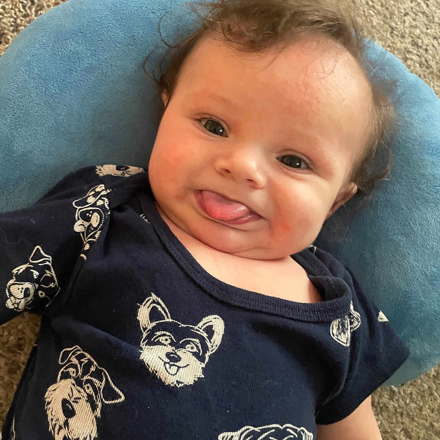 Ramon is registered to the contest to win money with this photo: baby, blue_cushion, carpet, child, closeup, clothing, curly_hair, cute, dog_print, funny_face, happy, indoor, infant, navy_shirt, person, playful, portrait, resting, smiling, tongue_out