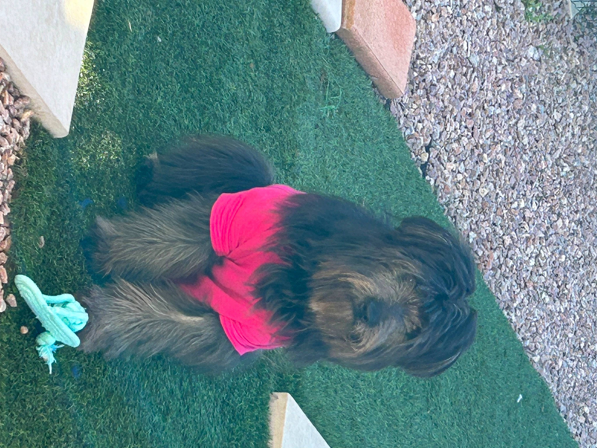 Granola participe au concours pour gagner de l'argent avec cette photo : asphalt, concrete, electric_blue, flooring, fun, grass, green, human_leg, leisure, magenta, people_in_nature, play, road_surface, shadow, sidewalk, sitting, soil, sporting_group, tints_and_shades, toddler