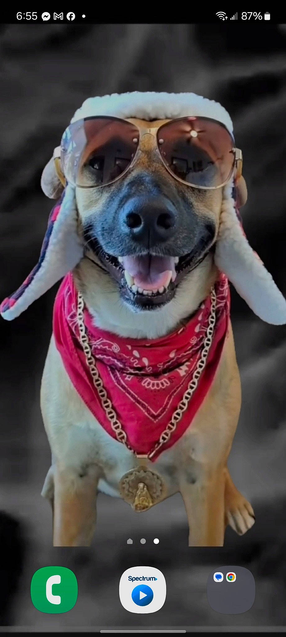 Jiggy is registered to the contest to win money with this photo: canidae, carnivore, collar, companion_dog, dog, dog_breed, dog_clothes, dog_collar, eyewear, fawn, goggles, leash, personal_protective_equipment, pink, snout, sporting_group, sunglasses, vision_care, whiskers, working_animal