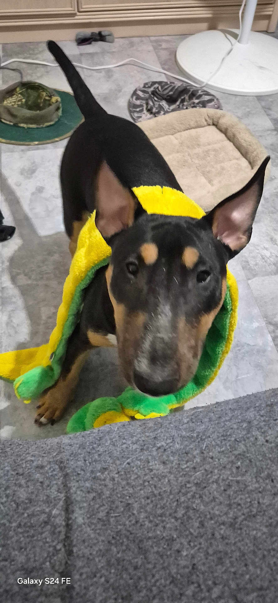 Kairo