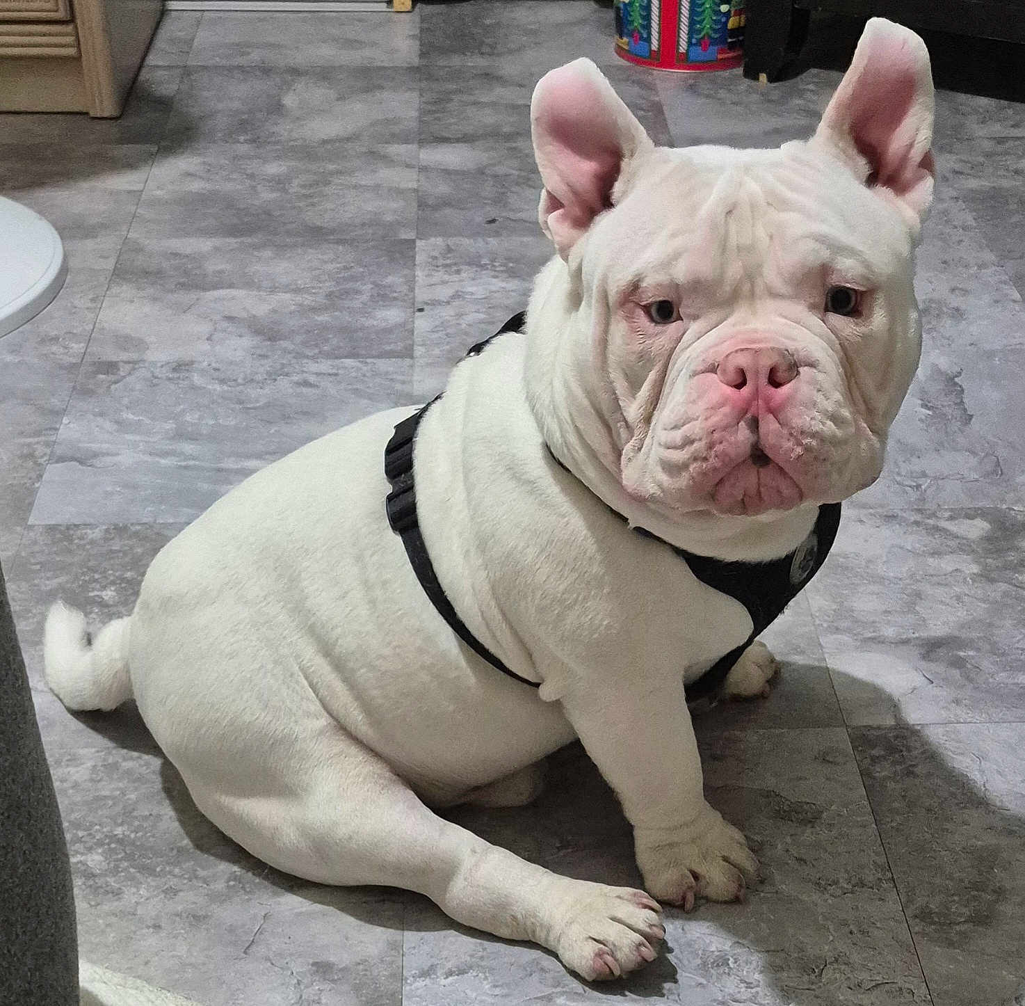 Kado