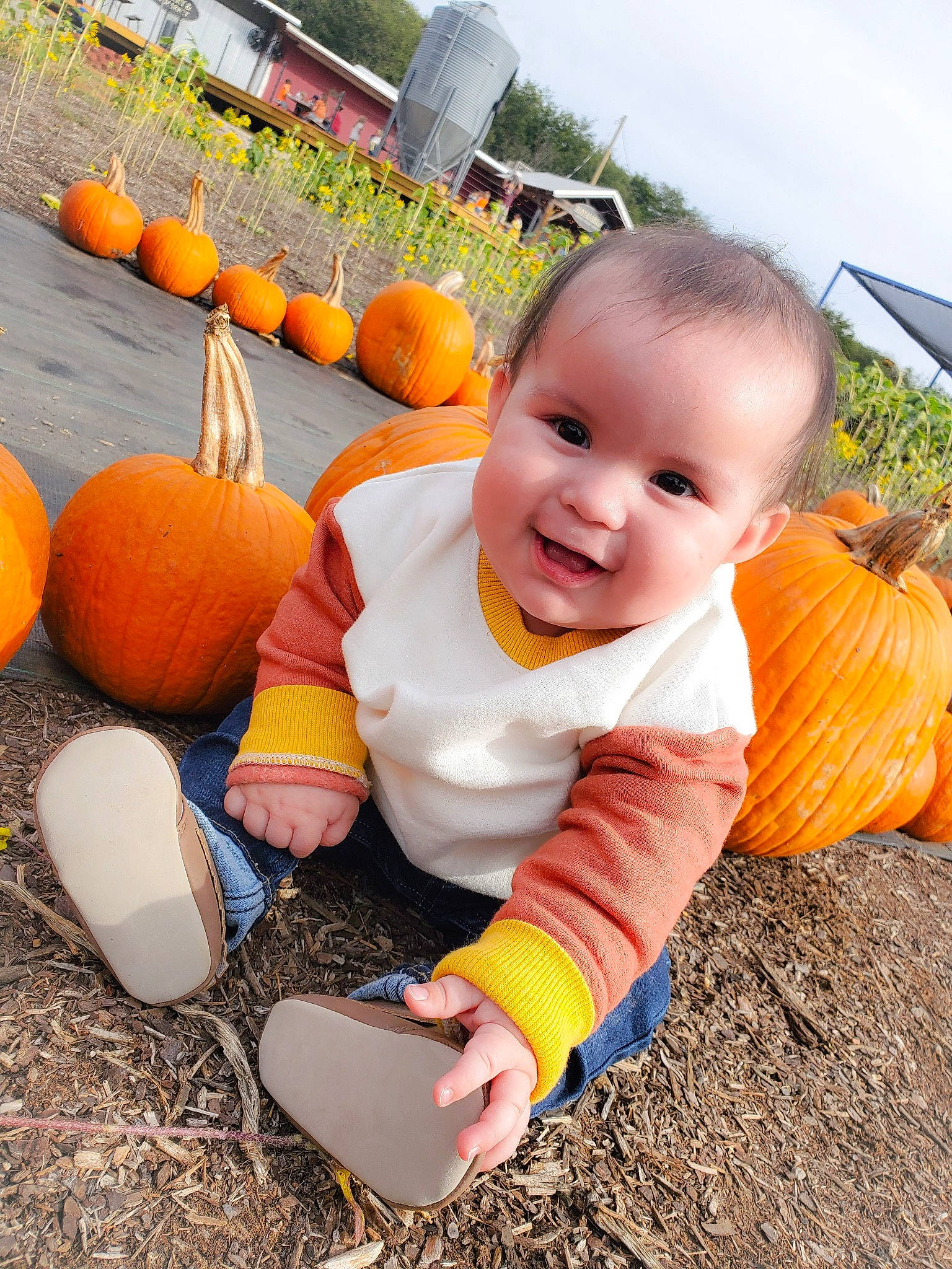 Zeke is registered to the contest to win money with this photo: baby_toddler_clothing, calabaza, cucurbita, fun, gourd, grass, happy, leg, leisure, natural_foods, orange, people_in_nature, person, plant, pumpkin, sky, smile, squash, summer, toddler