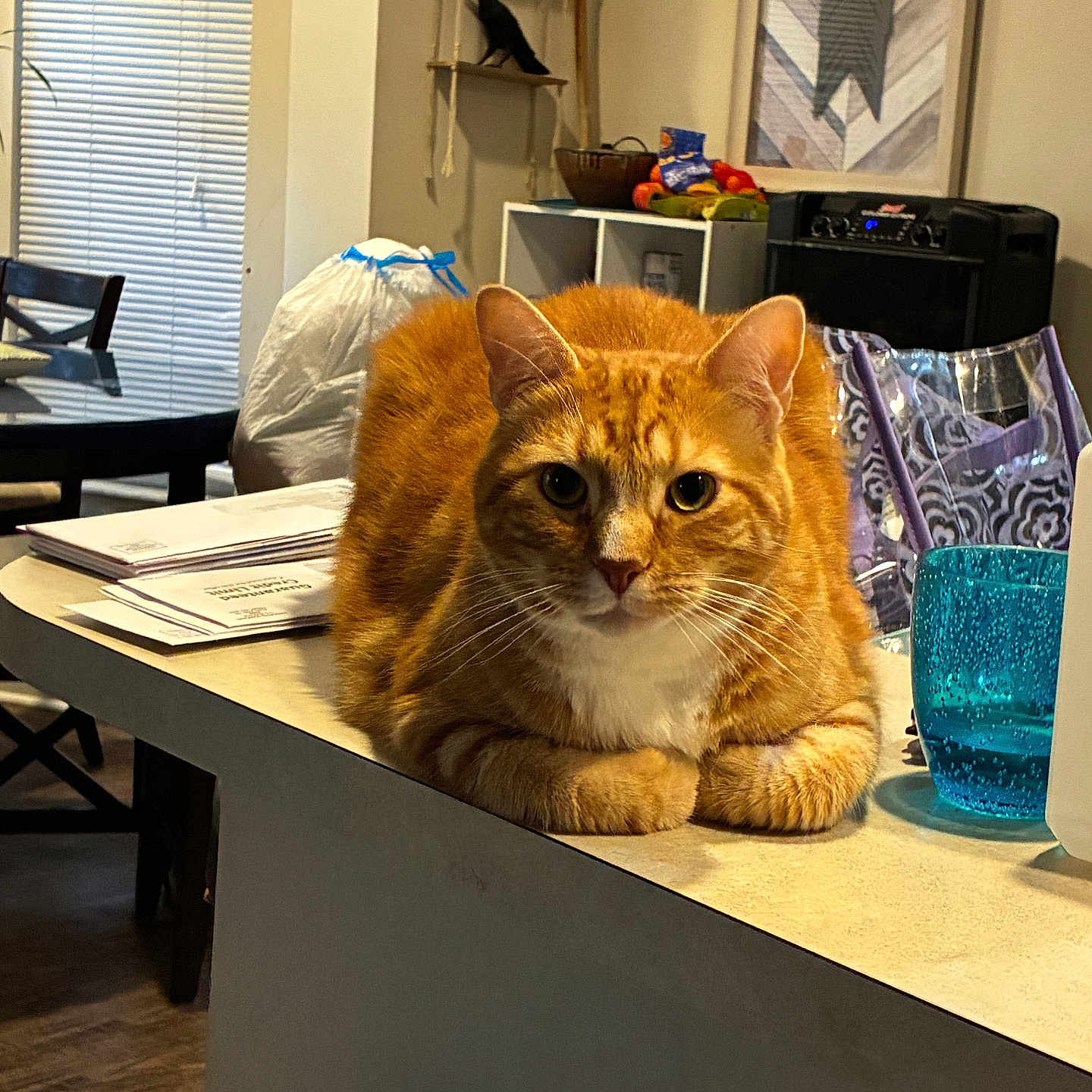 Nacho