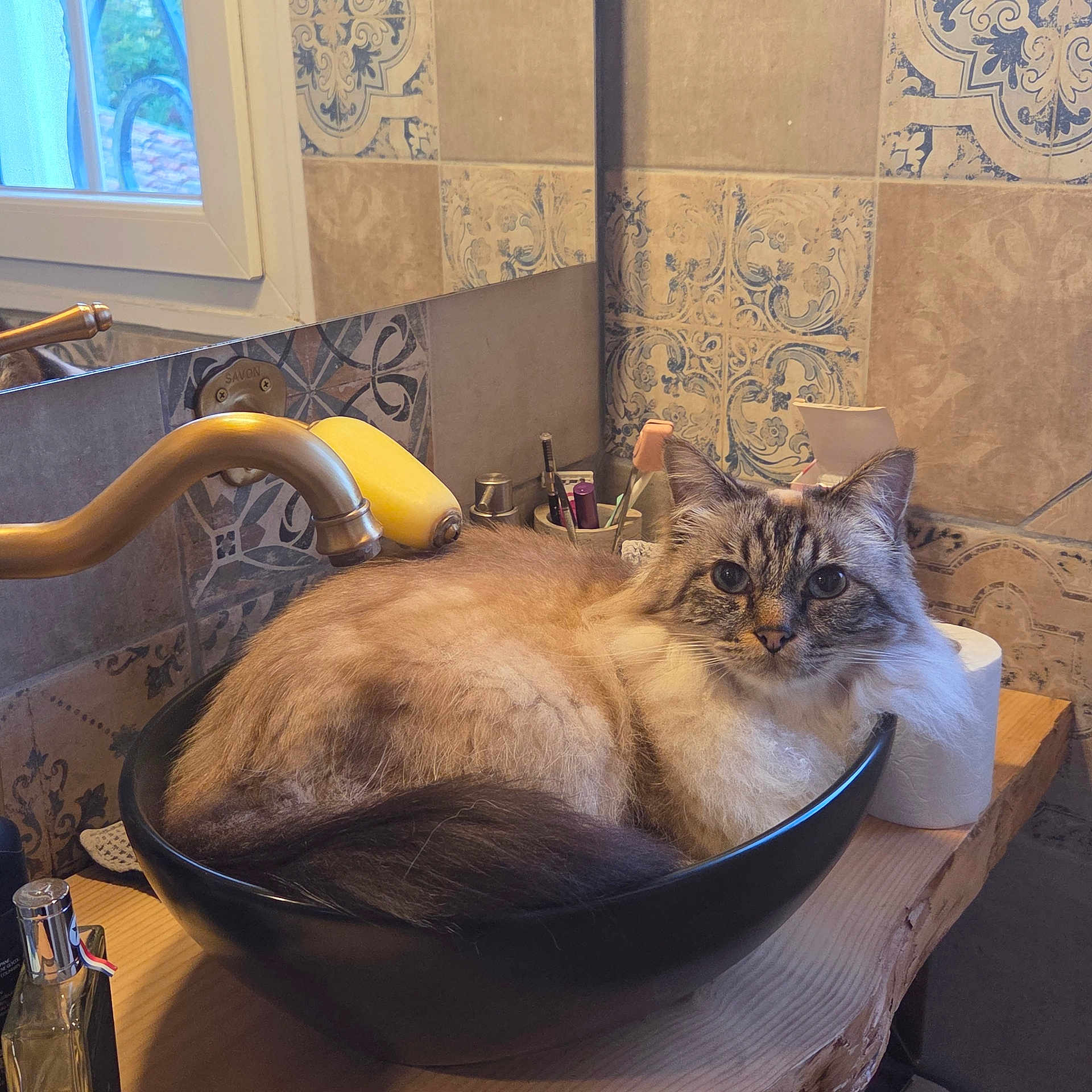 Max