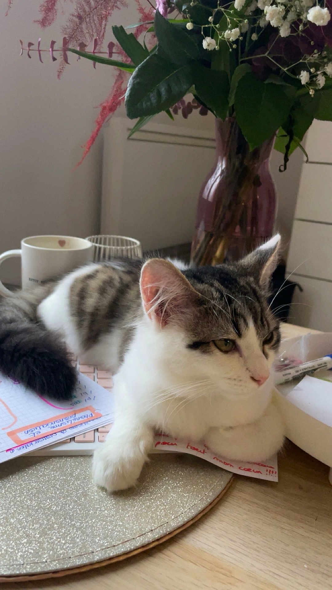 Tara participe au concours pour gagner de l'argent avec cette photo : animal, architecture, art, cat, diningtable, flower, flowerarrangement, furniture, herbal, herbs, jar, kitten, pet, plant, planter, porcelain, pottedplant, pottery, table, vase