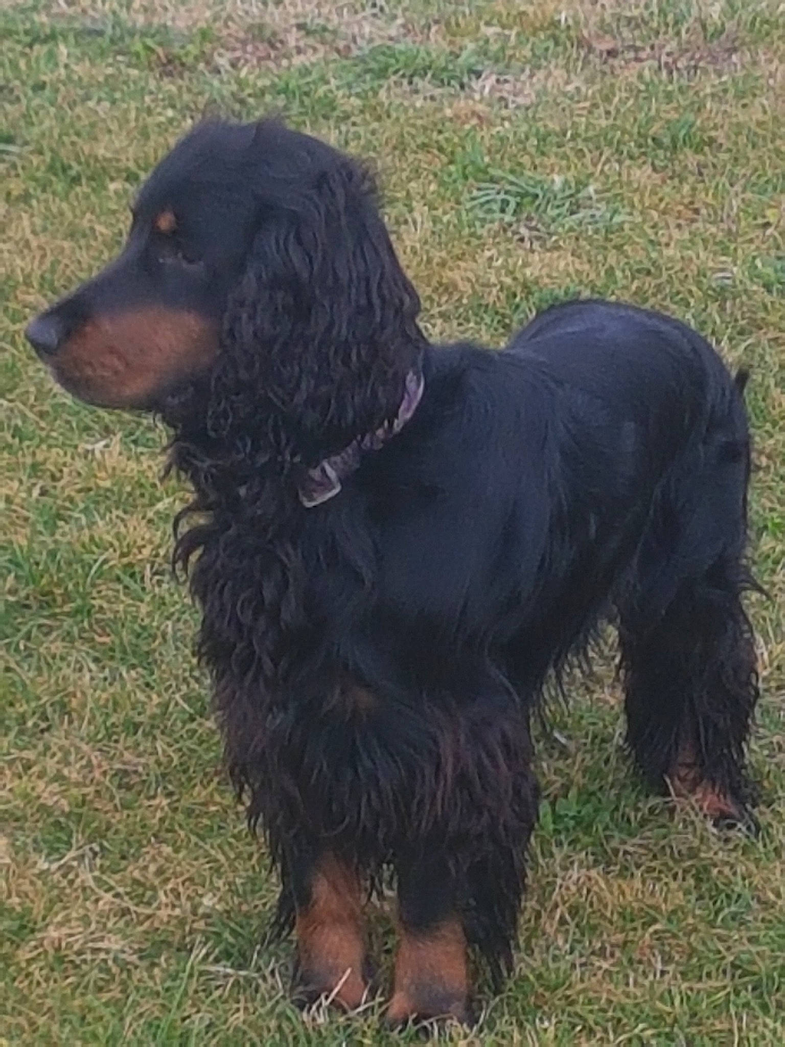 Oscar