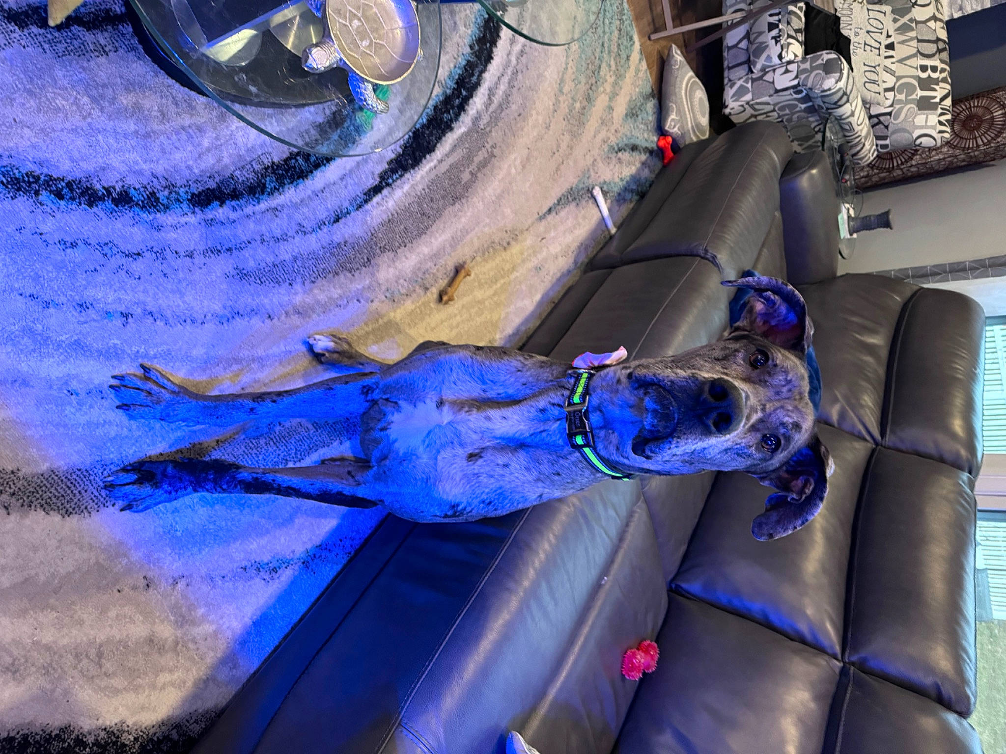 Orsen joined the competition — help win amazing prizes! art, blue, electric_blue, glove, human_leg, metal, paint, painting, plant, purple, tree, visual_arts, water, window, wood