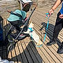 Miso joined the competition — help win amazing prizes! cat, baby_stroller, baby, baby_feet, leash, harness, person, hand, wooden_deck, wooden_fence, outdoor, sunlight, shadow, greenery, casual_clothing, footwear, pet, animal, curious, leisure
