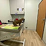 Safari is registered to the contest to win money with this photo: animal, cabinet, cat, clean, clinical, countertop, curious, door, exam_table, feline, floor, indoor, medical, pet, sink, standing, tabby_cat, veterinary_room, waiting, wooden_floor