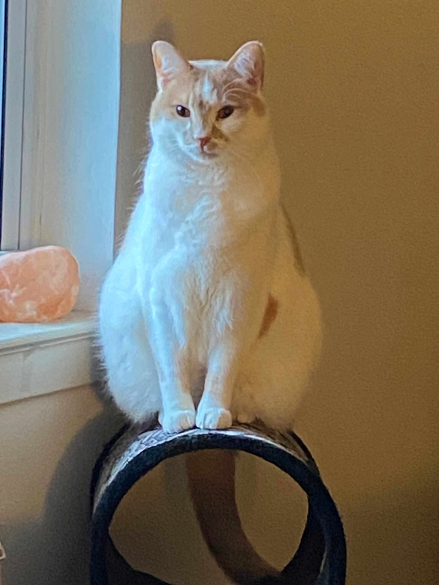Casper