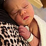 baby, blanket, closed_eyes, closeup, cozy, cute, face, hand, hospital, indoors, infant, leopard_print, newborn, person, rest, skin, sleeping, soft, towel, wristband